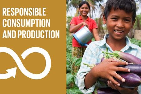 Cover photo with the title "Responsible Consumption and Production"