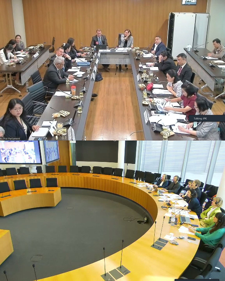 Virtual workshop participants connecting from the Thai House of Representatives and German Bundestag online conference rooms.