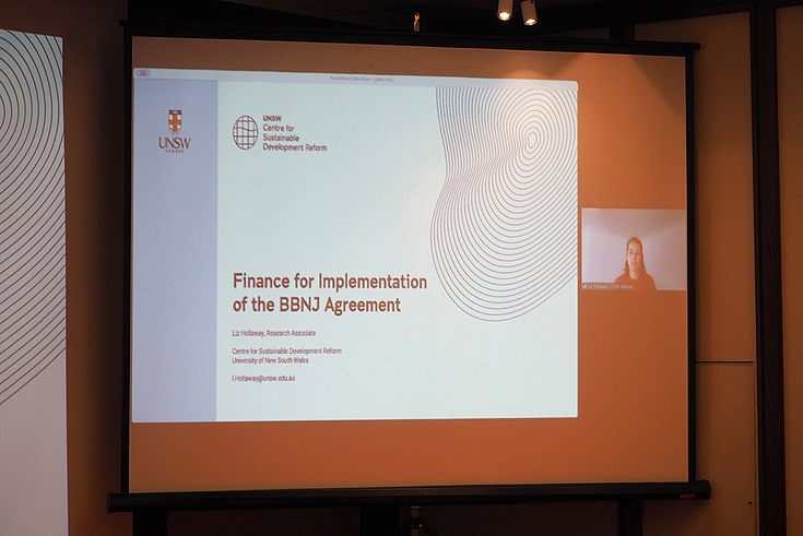 Financing mechanism for BBNJ Agreement