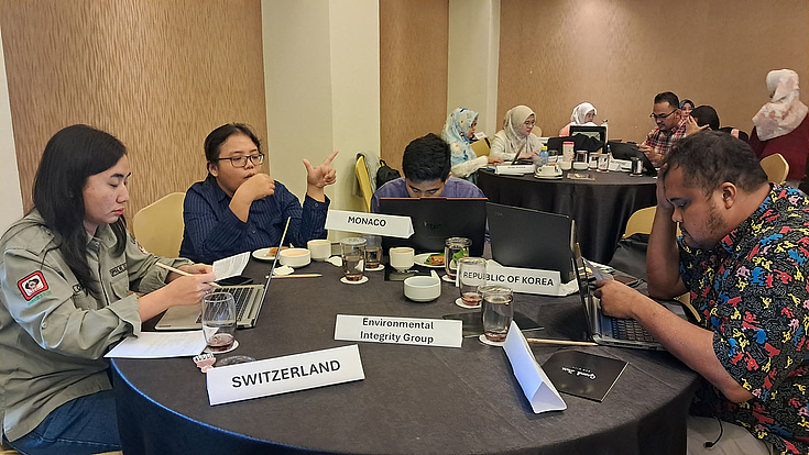 Participants, representing member countries of the UNFCCC, prepared their respective national statements