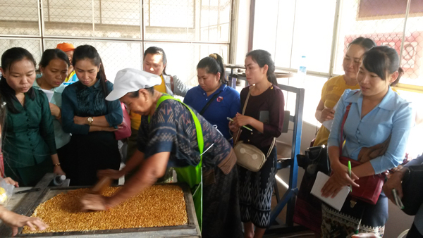Delegates visiting peanut processing cooperative